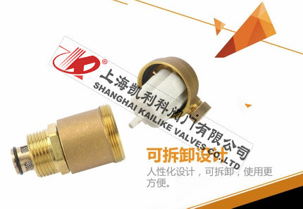 AVAX自動排氣閥可拆卸設(shè)計